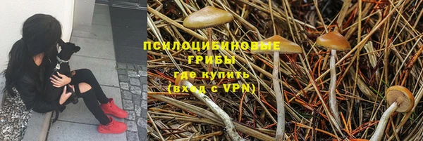 гидропоника Снежногорск