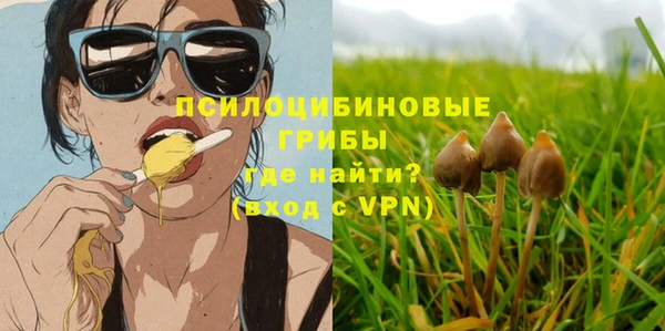 соль курить ск Алексеевка