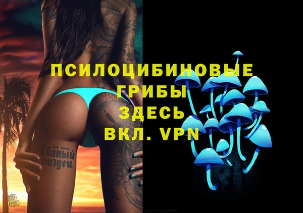 спайс Алексин