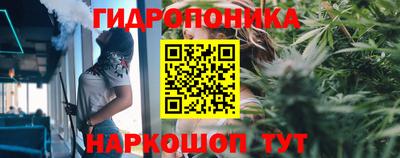 стафф Малгобек