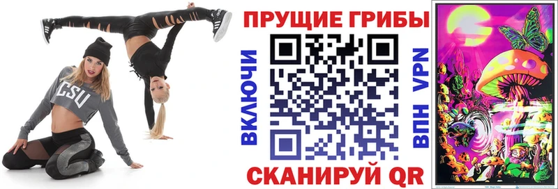 Псилоцибиновые грибы GOLDEN TEACHER наркотики blacksprut ONION Грязи