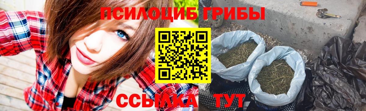 Грязи  Псилоцибиновые грибы GOLDEN TEACHER  Вход с VPN  Псилоцибиновые грибы Psilocybine cubensis 
