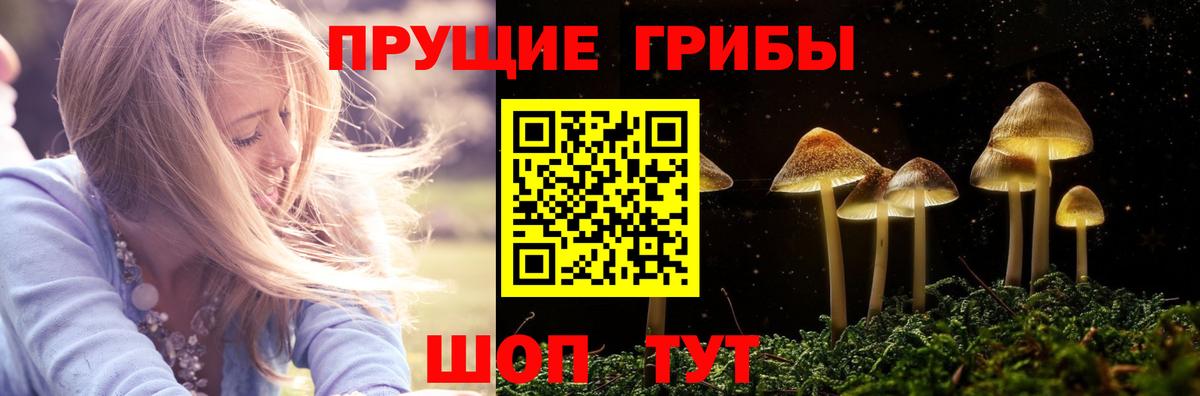 Псилоцибиновые грибы Cubensis Грязи